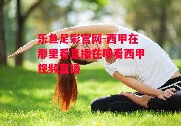 乐鱼足彩官网-西甲在那里看直播在哪看西甲视频直播